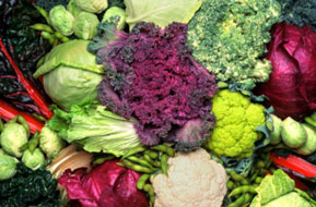 Cruciferous vegetables
